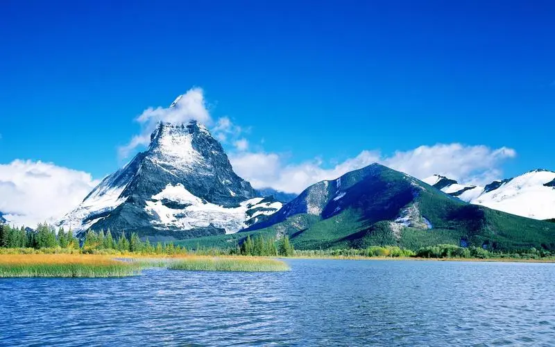 全自动智能网络化